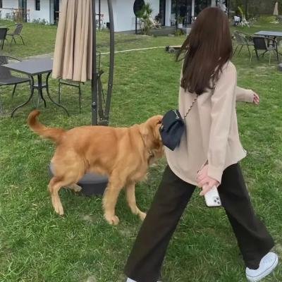 我才不信你是个王子呢